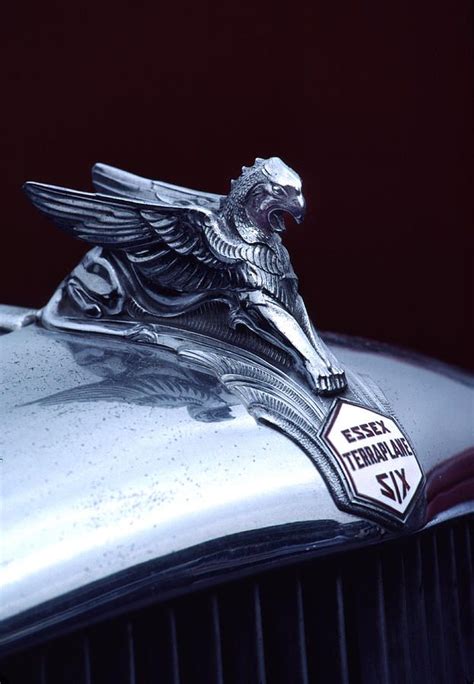 1933 Hudson Essex Terraplane Griffin Hood Ornament Photograph by Carol ...