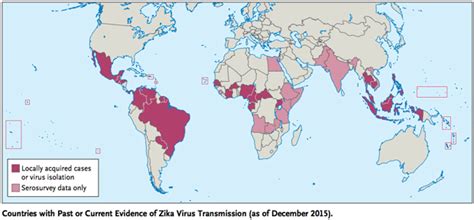 Virus Zika: otro arbovirus trotamundos que se globaliza – Virus ...