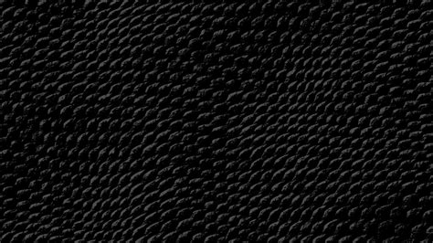 Snake Skin Wallpapers - Wallpaper Cave