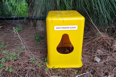 Possum Traps - reWild Wainui