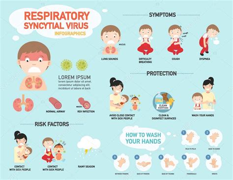 RSV,Respiratory syncytial virus infographic,illustration. — Stock ...