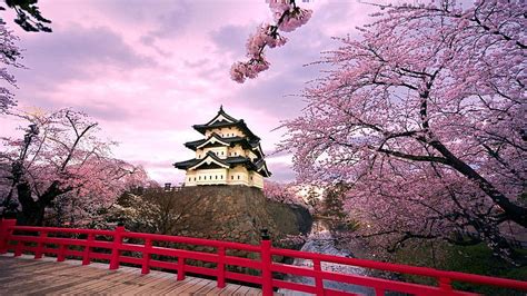 Japanese Sakura Garden , Japanese Sakura Anime HD wallpaper | Pxfuel