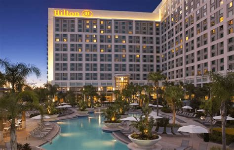 6 Best Hilton Resorts in Florida: Which One is Right for You? - The ...