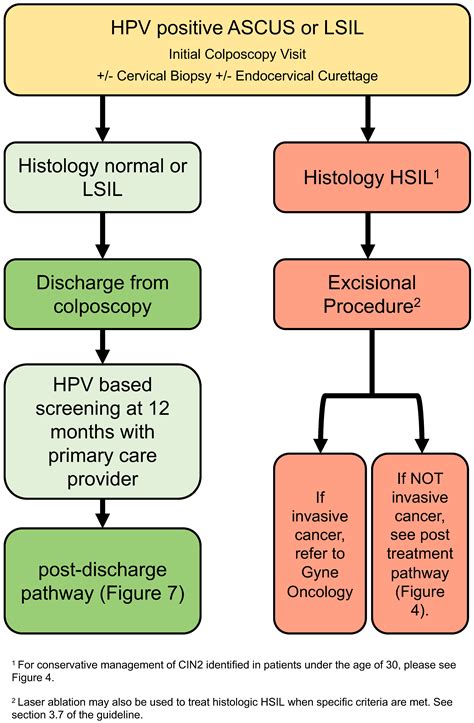 Criteria For Pap Smear