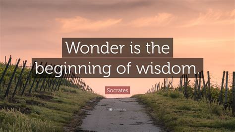 Socrates Quote: “Wonder is the beginning of wisdom.”