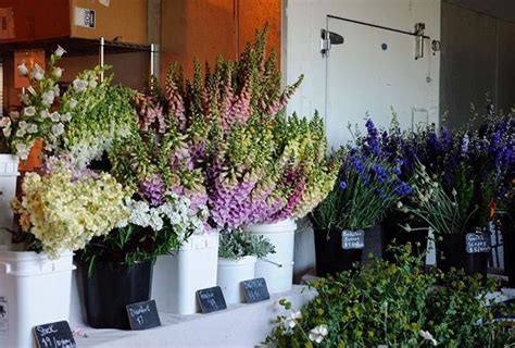 Episode 296: The Farm-to-Florist Wholesale Story Continues in Montana ...