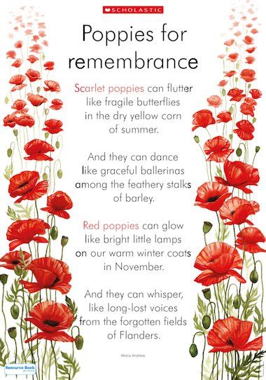 Poppies for remembrance poster – Primary KS1 teaching resource - Scholastic