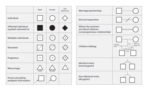 Drawing a Family Tree Symbols - Rios Suffecor