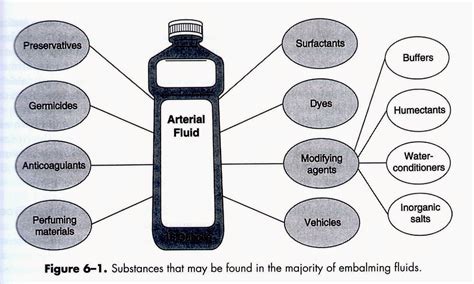 chemicals in embalming fluid Hospice Nurse, Mortician, Embalmer ...