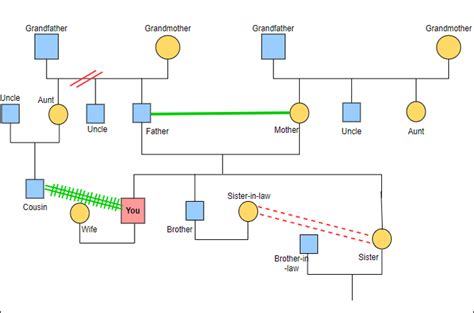 Simple Genogram Examples and Templates Free to Download