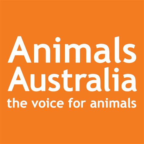 Animals Australia | Animal Charity Evaluators