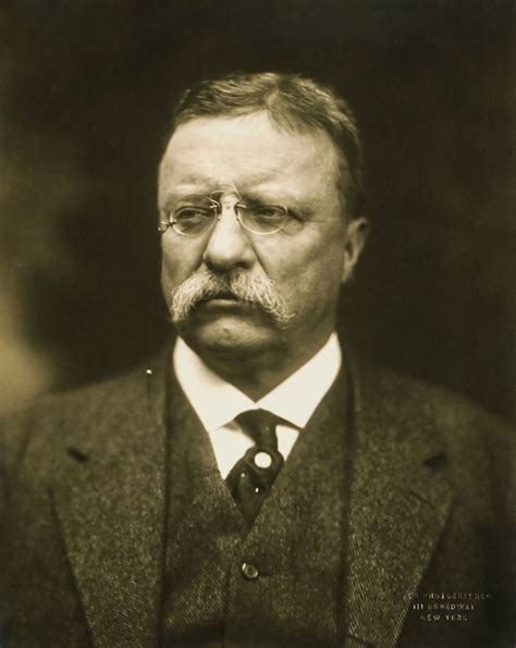 Theodore Roosevelt: Exploring the Achievements of America's 26th ...