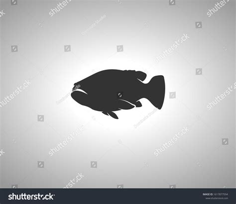 Grouper Silhouette On White Background Isolated: vector de stock (libre ...