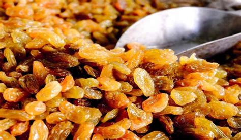 organic golden raisins distributor - Raztak