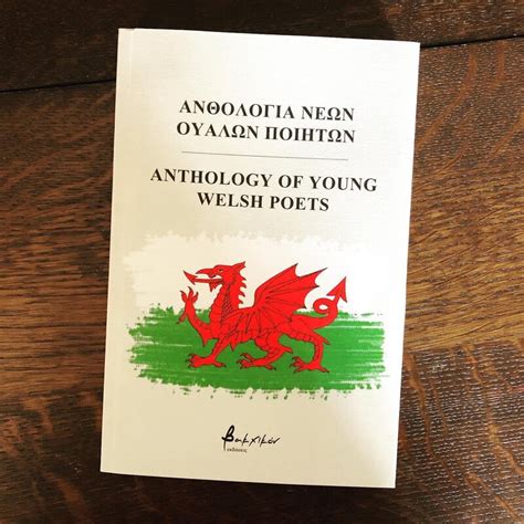 Anthology of Young Welsh Poets - Rhys Owain Williams