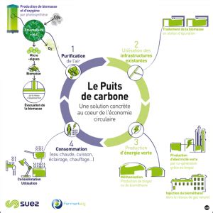 Fermentalg teste un puits de carbone à Paris - Biotech.info