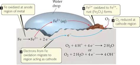 FIGURE 20.22 Corrosion of iron in contact with water. One region of the ...