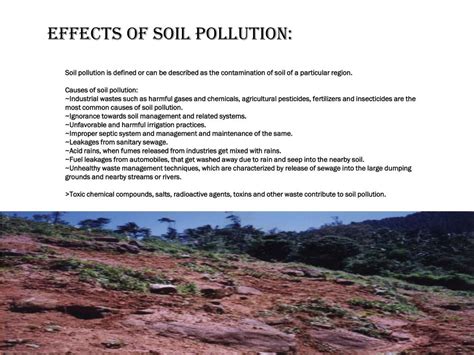 PPT - Soil Contamination PowerPoint Presentation, free download - ID ...