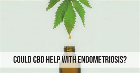 Could CBD Help with Endometriosis? | ThisIsEndometriosis.com