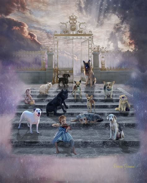 Heaven Fantasy Art Print Dog Fantasy Artwork Cat Fantasy Art Work ...