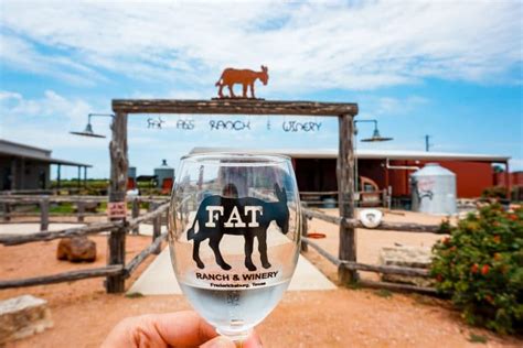 The 8 Best Wineries in Fredericksburg, Texas - Weekend Guide