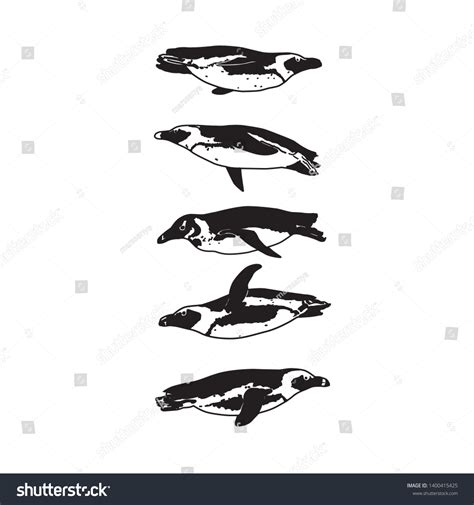 Drawing Swimming Penguin Silhouettes Black White Stock Vector (Royalty ...