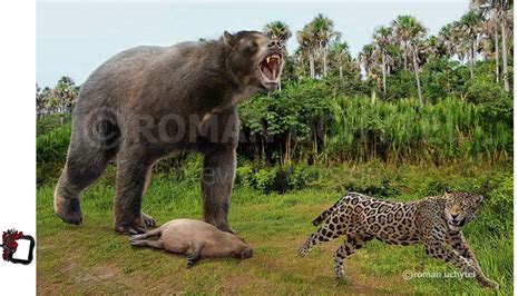 Arctotherium Angustidens and Jaguar Comparison - YouTube