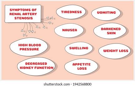 Symptoms Renal Artery Stenosis Vector Illustration Stock Vector ...