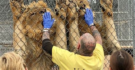 Lion Habitat Ranch to host 4th annual Boo at the Zoo