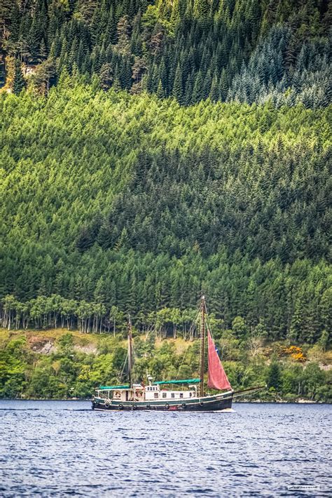 Sailing the Great Glen on Loch Ness with a forest as a bac… | Flickr