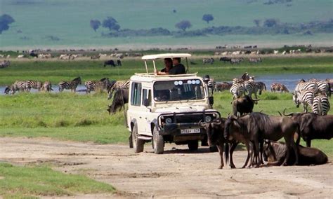 Serengeti tours Tanzania - Serengeti National Park