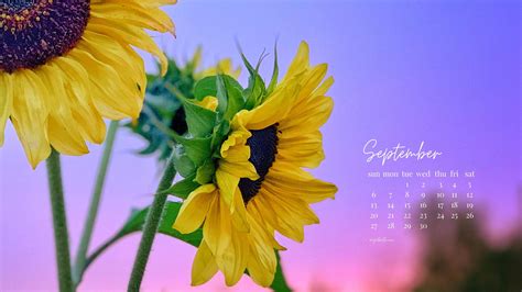 Free September Wallpaper — EngelBelle