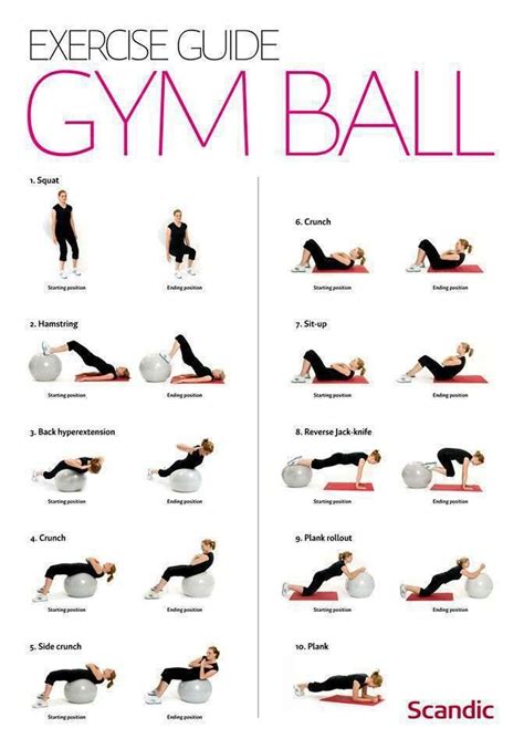 Exercise Guide : Gym ball exercises for women | | Gym ball, Fitness ...