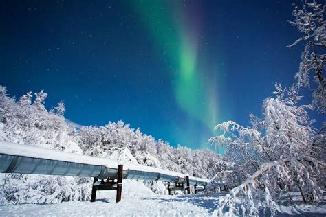 Can You See The Northern Lights In Fairbanks Right Now ...