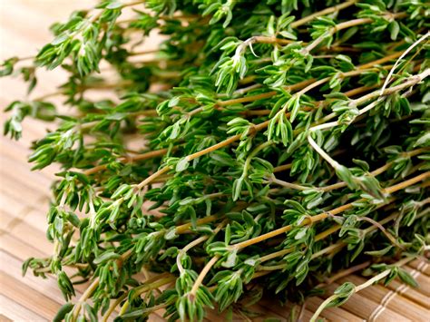 Green Dry Thyme Herb, For Food, Organic Enterprises | ID: 22443836548