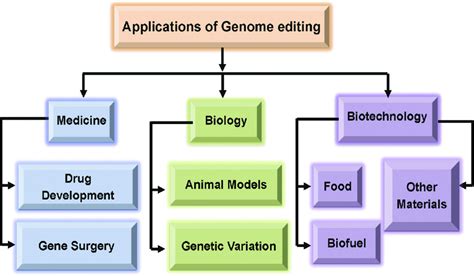 An Overview of Applications of Genome Editing Genome editing can be ...