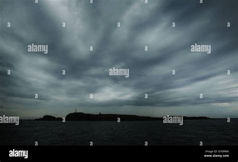 Puffin breeding season Stock Photo - Alamy