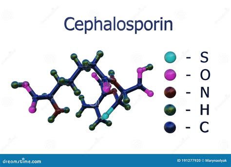 Molecular Structure of Cephalosporin. Cephalosporins are the Class of ...