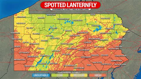 Where Spotted Lanternfly Eggs Can Survive Winter Temperatures in ...