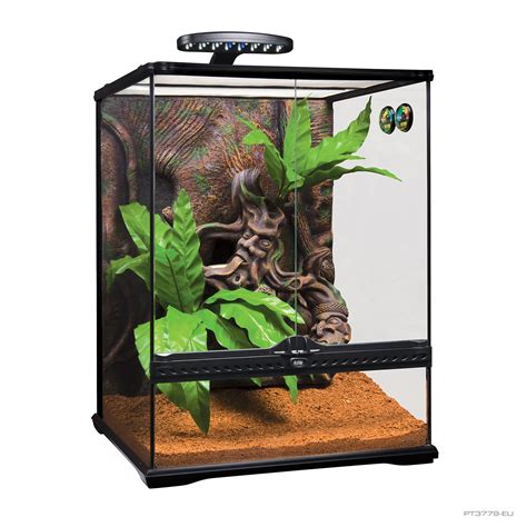 Crested Gecko Terrarium Large