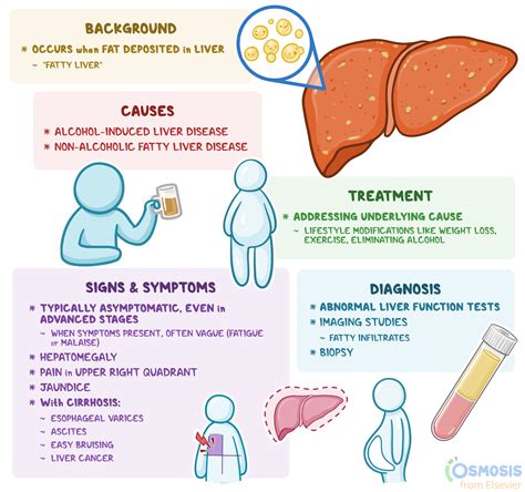 Hepatic Steatosis: What Is It, Causes, Diagnosis | Osmosis