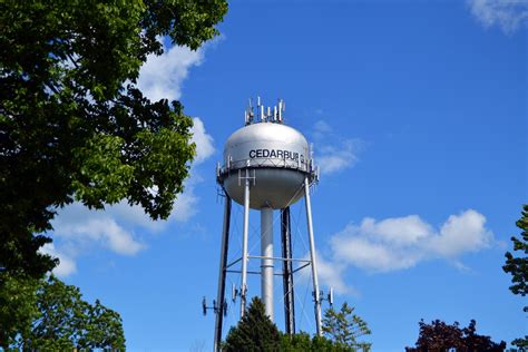 growth, trees, tree, water tower - storage tank, little, historic, tall ...