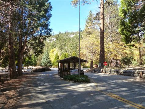 Observations: Camping at Idyllwild State Park