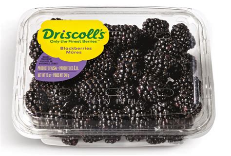 Driscoll Blackberries | Hy-Vee Aisles Online Grocery Shopping