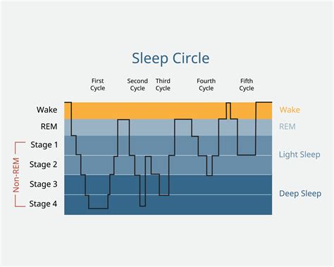 5 Stages of Sleep: Psychology, Cycle & Sequence