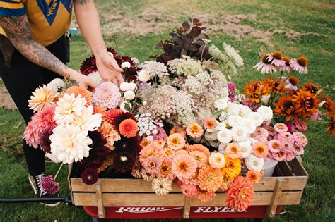 Southern Oregon Flower Farmers - Idyllwild