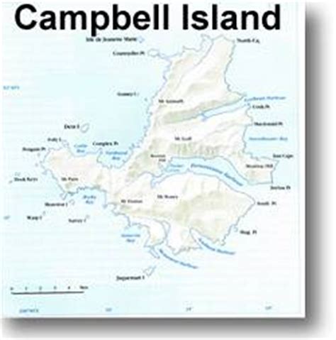 Campbell Info