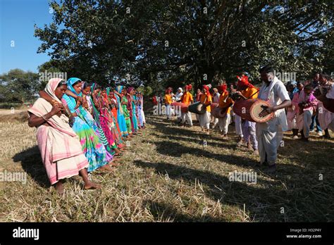 Tribal people performing Karma Dance, NAGESIA TRIBE, Dadgaon Village ...