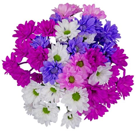 Crazy Daisy Bouquet, 1 ct - Kroger