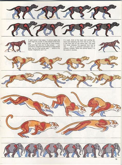 AnatoRef — Walk, Trot, and Gallop: Top Row: Eadwaerd... | Croquis ...